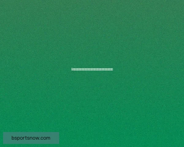 B体育客户端全新升级打造智能赛事体验与实时互动娱乐平台